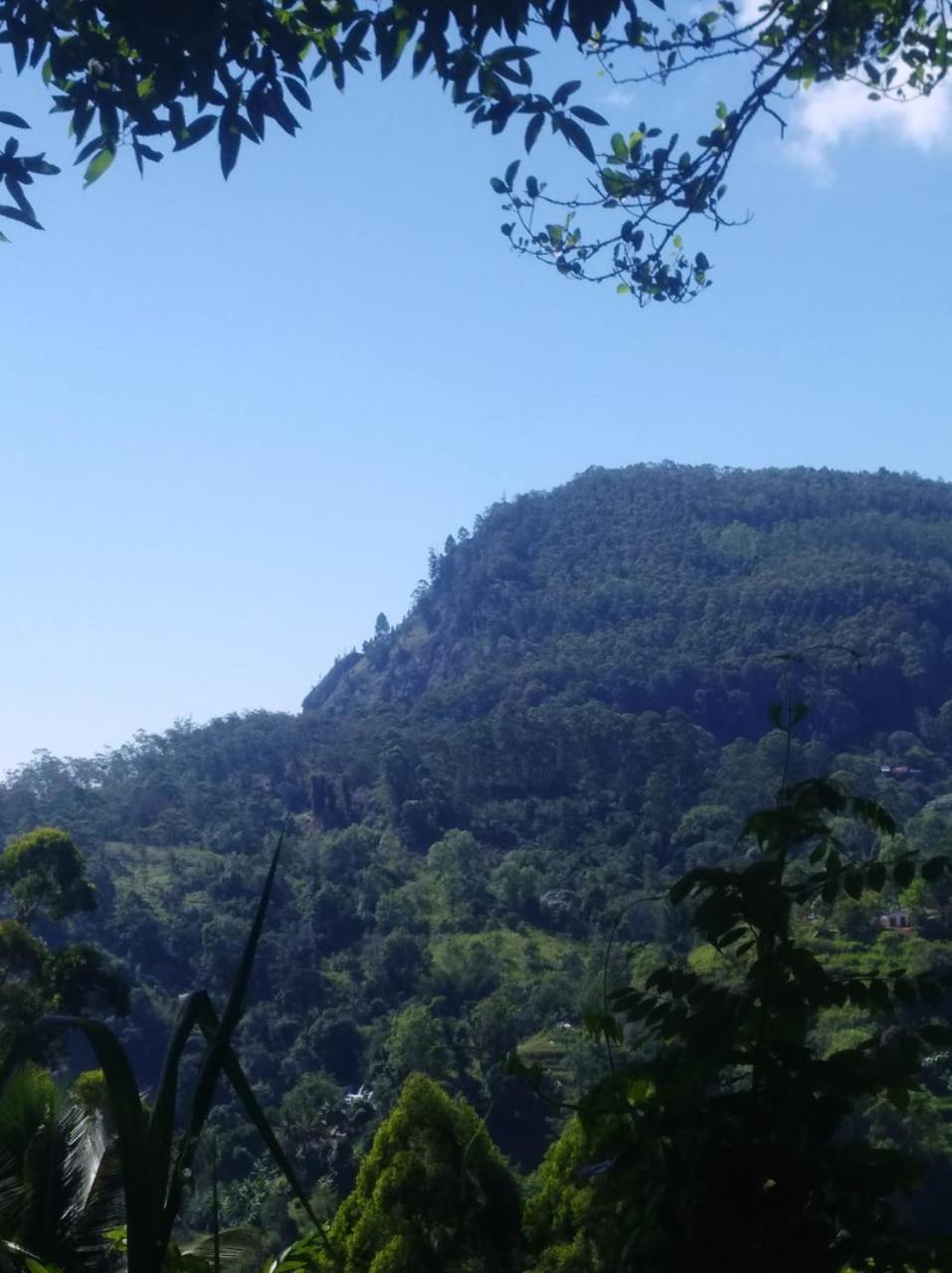Himansa Homestay 埃拉 外观 照片