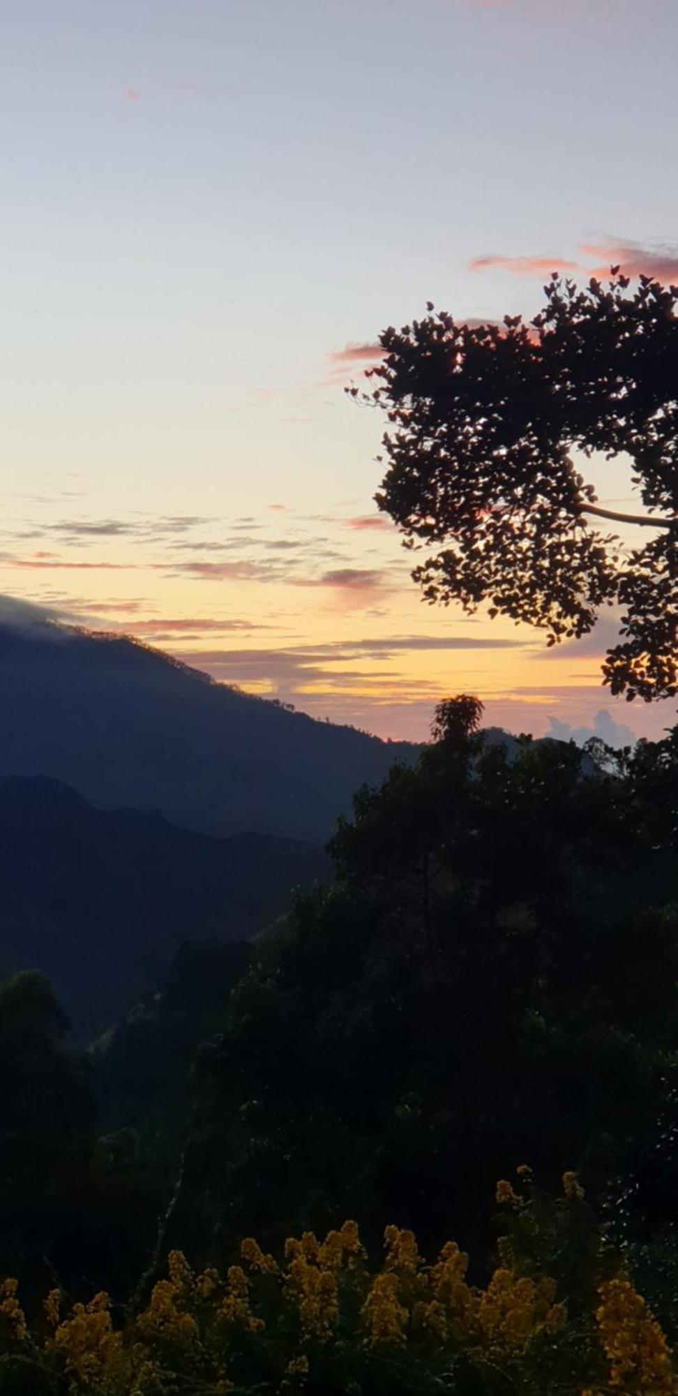 Himansa Homestay 埃拉 外观 照片