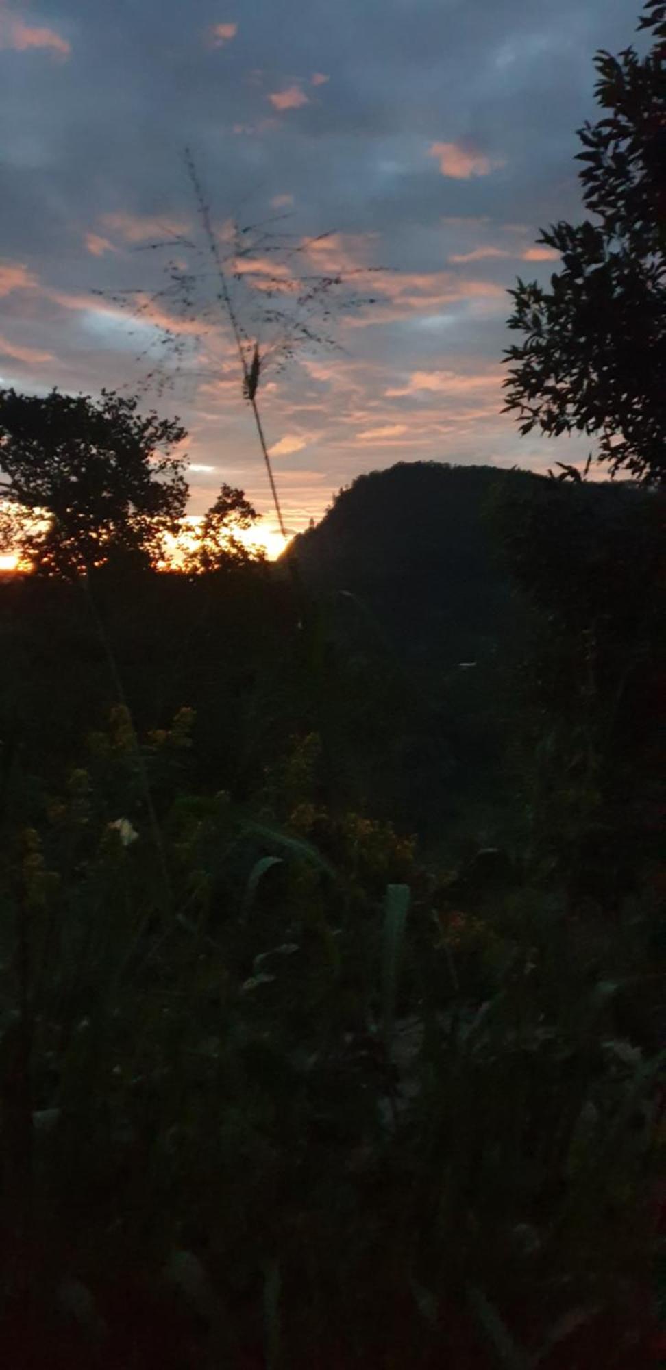 Himansa Homestay 埃拉 外观 照片