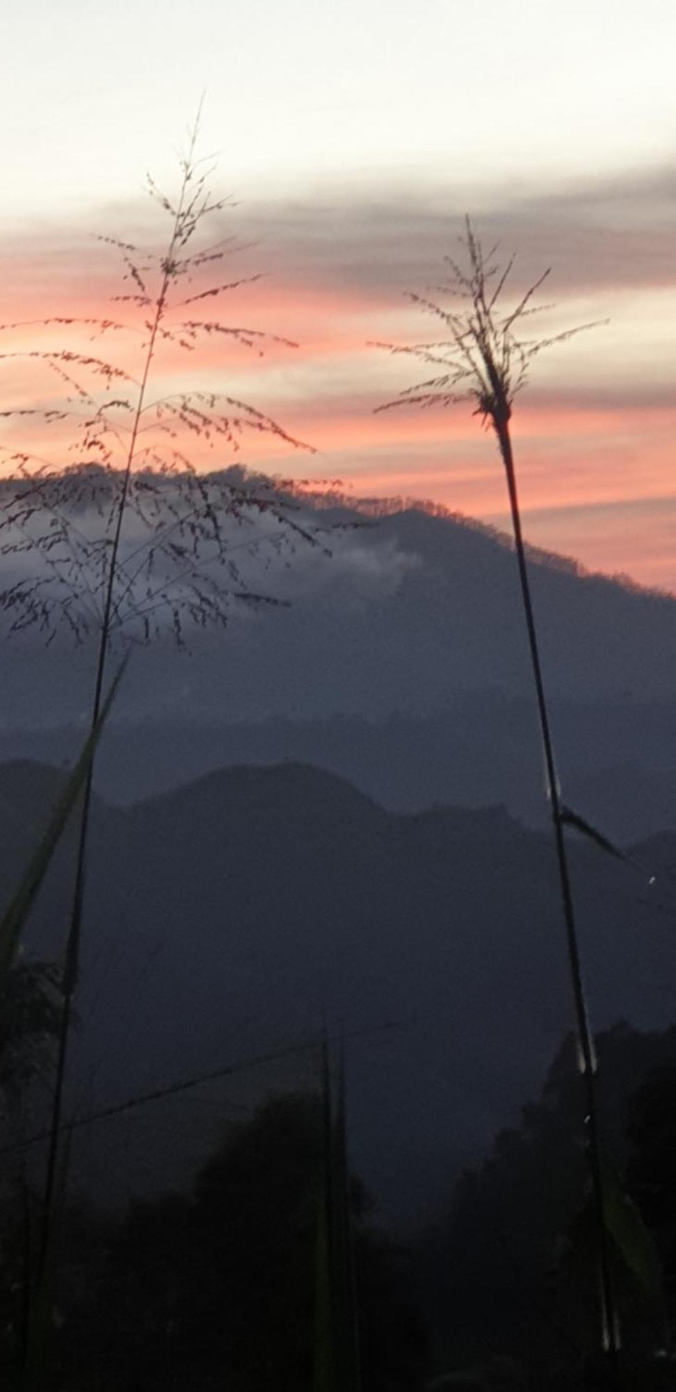 Himansa Homestay 埃拉 外观 照片